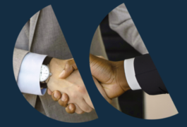 Pirkner Consulting